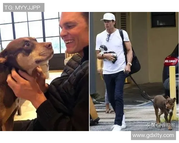 全球足球巨星与他们的爱犬们 揭秘球场之外的忠诚伴侣 全球足球巨星与他们的爱犬们 揭秘球场之外的忠诚伴侣