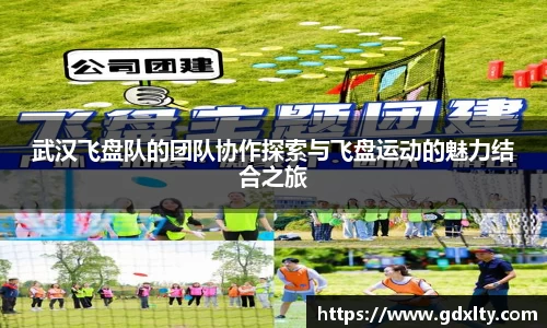 武汉飞盘队的团队协作探索与飞盘运动的魅力结合之旅
