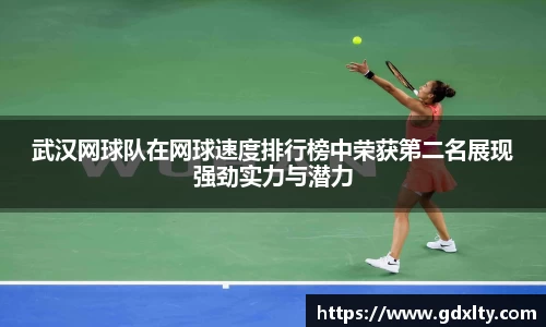 芒果体育