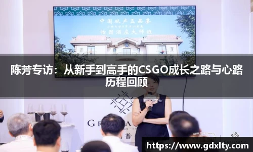陈芳专访：从新手到高手的CSGO成长之路与心路历程回顾