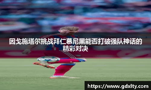 mgty芒果体育